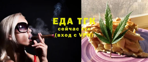 индика Нефтекумск