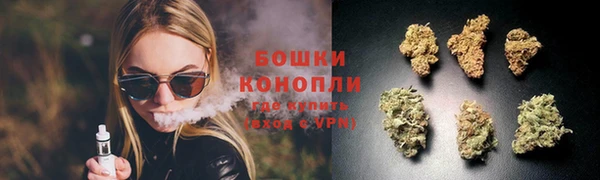 индика Нефтекумск