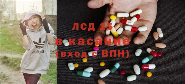 индика Нефтекумск