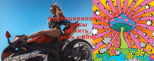 индика Нефтекумск