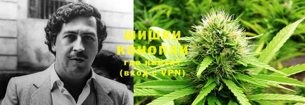 амф Нея