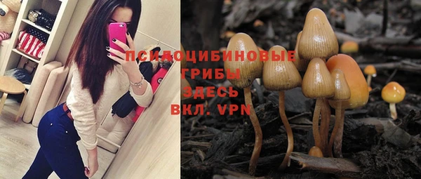 индика Нефтекумск